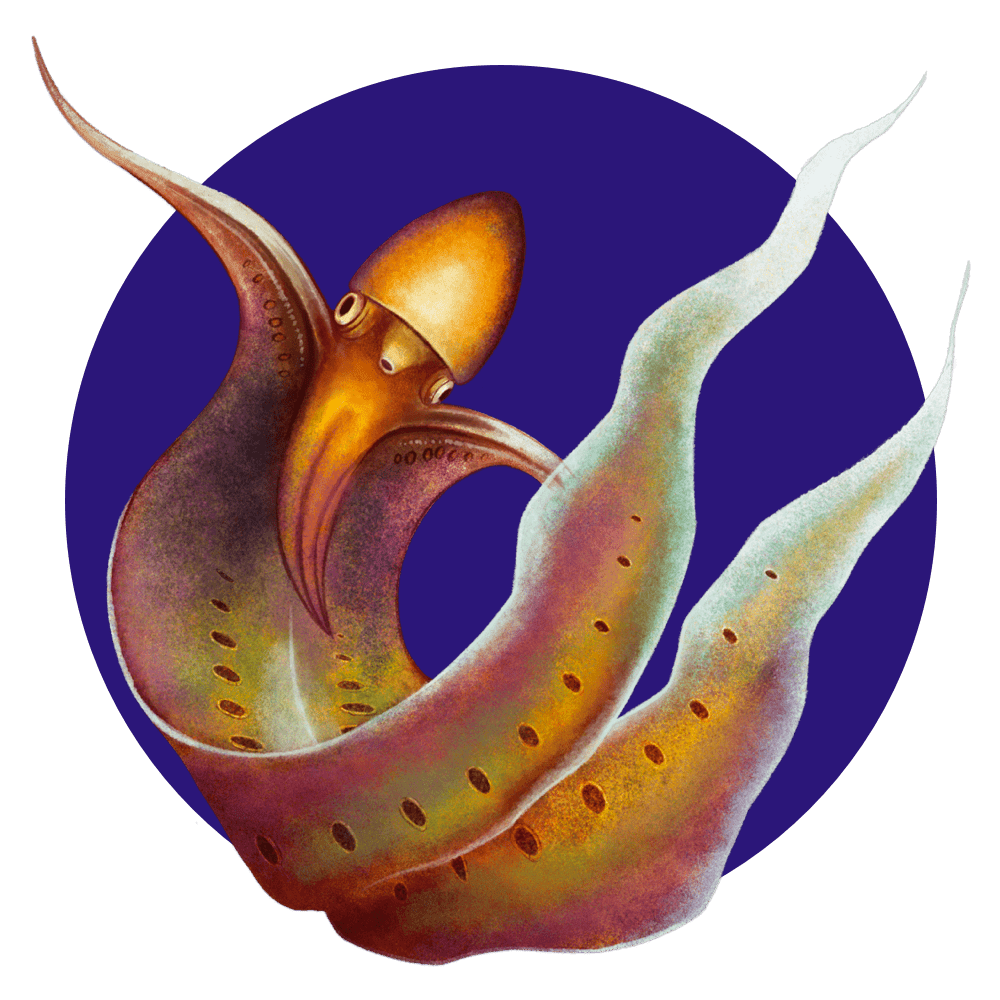 an illustrated multi-colored cephalopod